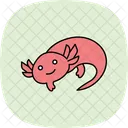 Axolotl  Icon