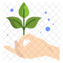 Ayurveda Krauter Ayurvedisch Symbol