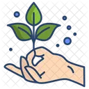 Ayurveda  Ícone
