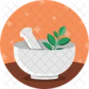 Ayurvedic medicine  Icon