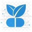 Ayurvedic medicine  Icon