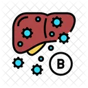 B Type Liver  Icon