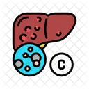 B Type Liver  Icon