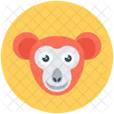 Babbuino  Icon