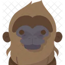Baboon  Icon