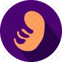 Baby Stomach Pregnant Icon