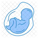 Baby Embryo Life Icon