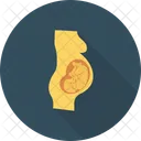 Baby Biology Healthy Icon