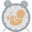 Baby birth time  Icon
