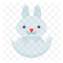 Baby bunny  Icon