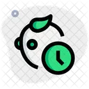 Baby Checkup Time  Icon
