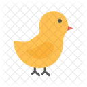 Baby Chick Chicken Hen Icon