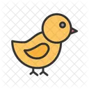 Baby Chick  Icon