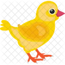 Baby Chicken Chick Farm Animal Icon