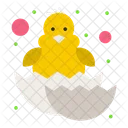 Baby Chicken  Icon