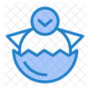 Baby Chicken  Icon