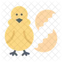 Baby Chicken  Icon