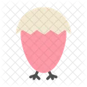 Baby Chicken  Icon