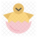 Baby Chicken  Icon
