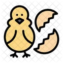 Baby Chicken  Icon