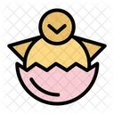 Baby Chicken  Icon