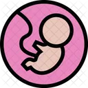 Baby  Icon