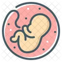 Baby Embryo Embryo Obstetrics Icon