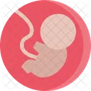 Baby Medicine Dentist Icon