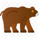 Baby Bear Infant Icône