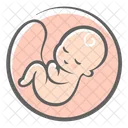 Baby Embryo Fetus Icon