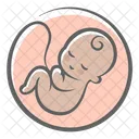 Baby Embryo Fetus Icon