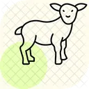 Baby lamb standing  Icon