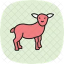 Baby lamb standing  Icon