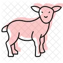 Baby lamb standing  Icon