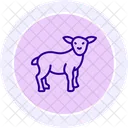 Baby lamb standing  Icon