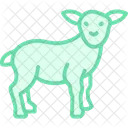 Baby lamb standing  Icon