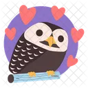 Baby Owl Cute Owl Owl Icon