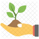 Baby Plant Soil Icon
