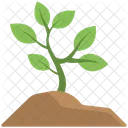 Baby Plant Soil Icon