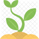Baby Plant Blooming Icon