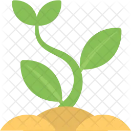 Baby Plant  Icon