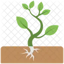 Baby Plant Soil Icon