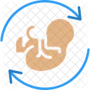 Baby rotation  Icon