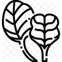 Baby Spinach Low Calories Onion Icône