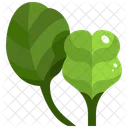 Baby Spinach Low Calories Onion Icône