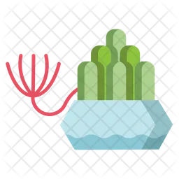 Baby Toes Plant  Icon