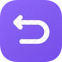 Asset Icon