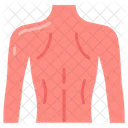 Back body  Icon
