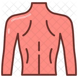 Back body  Icon