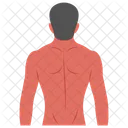 Back body  Icon